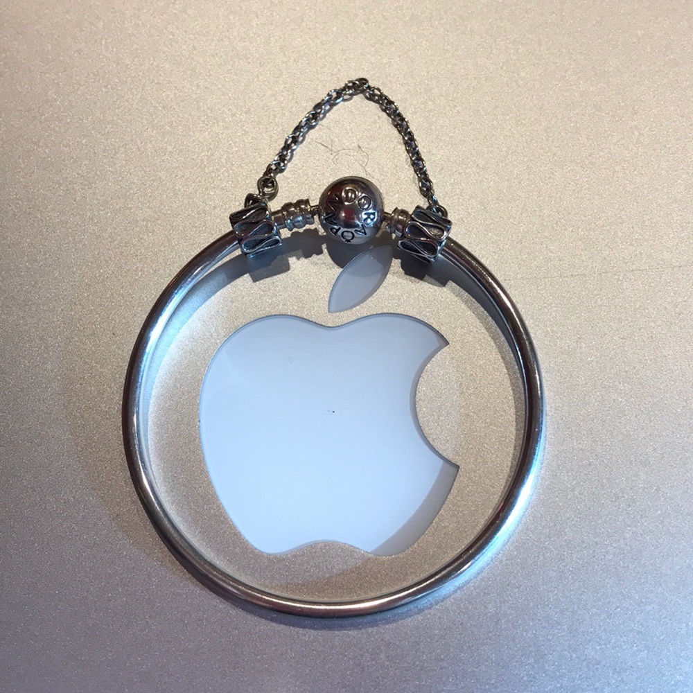 Pandora Bangle And Safety Chain
